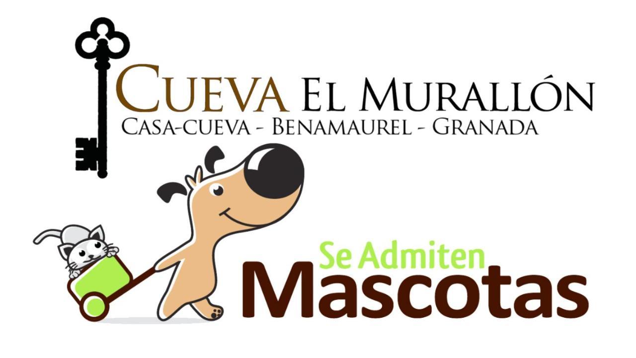 Cueva El Murallon Benamaurel 외부 사진